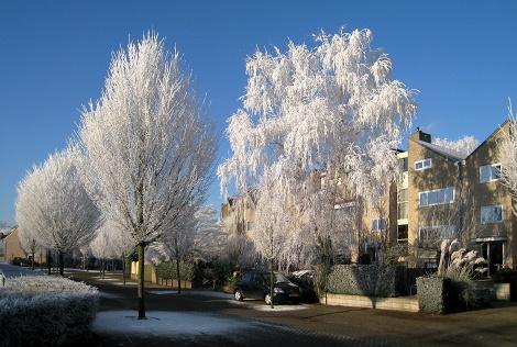 houten_winter